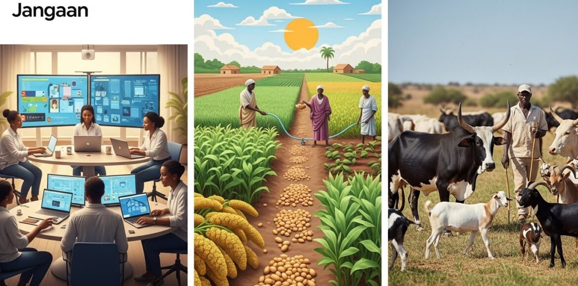 Pourquoi Jangaan investit à la fois dans la technologie, l’agriculture et l’élevage au Sénégal